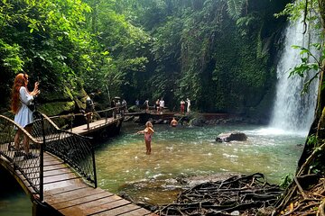 Half Day Tour Ubud Rice Terrace with Activities and Waterfall
