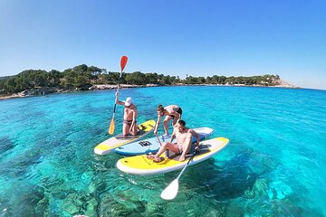 Excursion Paddle surfing and kayaking