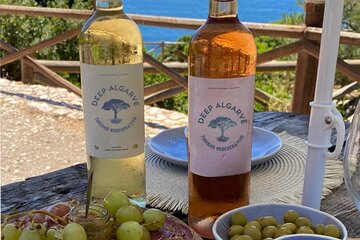  Beach of the Navy and Albandeira with wine-proof Algarve