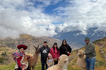 Alpaca Walk over the Sacred Valley of the Incas from Cusco
