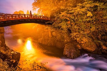 Private 1 Day Nikko's Tour with Scenic Wonders