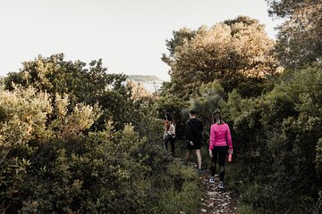 Sunset Hike and Gastro Tour