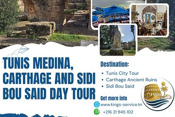 Kings Service: Private VIP Tunis,Carthage and Sidi Bousaid Tour