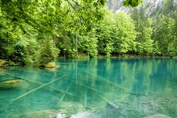 Blausee Express Sightseeing Tour from Interlaken Switzerland