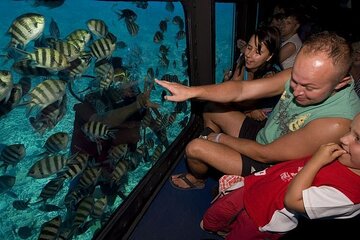 Panorama semi submarine Snorkeling sea trip from Hurghada