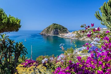Ischia Minivan Tour with Tastings 