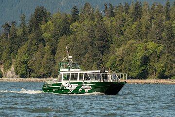 Intimate West Coast Whale Watching - Partly-Sheltered