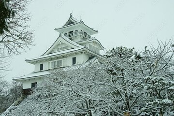 Shiga 1Day Bus Tour with Snow, Castle and Illumination