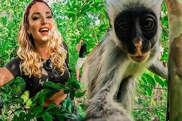 Zanzibar :Jozani Forest ,and Sea Turtles Sanctuary tour 