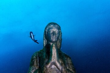 Double dive in the Punta Campanella Marine Protected Area