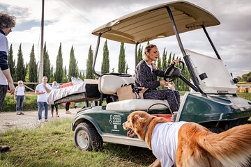 Tuscan Vineyard Golf Cart Tour with Wine Tasting and Lunch 