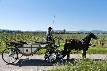Sparkling carriage ride through Krems and the Wachau vineyards