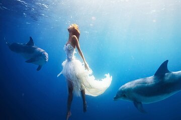 Exclusive Dolphin House VIP Experience in Hurghada