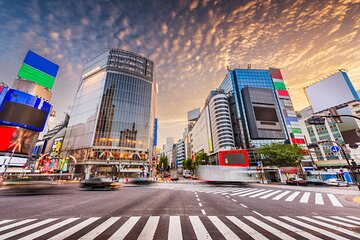 Afternoon Small Group Tour in Tokyo