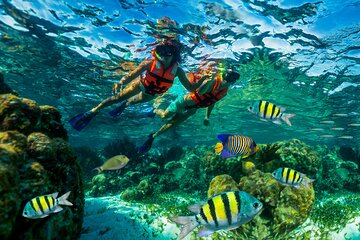 Reef Snorkeling in National Park from Cancun with Beachside Lunch