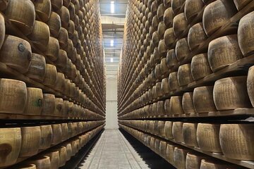 Taste Tour: Parmigiano Reggiano, Balsamic Vinegar and Lunch