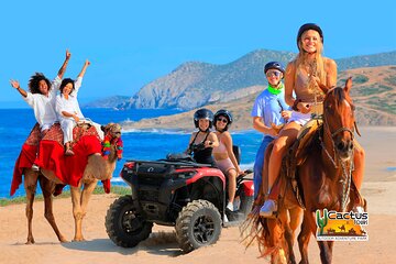 Cabo Tour Mexico Camel and Horseback Ride with ATV Adventure