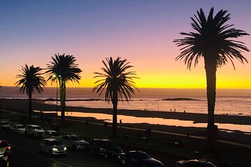 Cape Peninsula Tour
