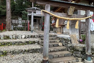 Kyoto Arashiyama Walking Tour with Bamboos Monkeys and Temple