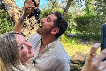 Small Group Chianti Wine Tour with a Somm
