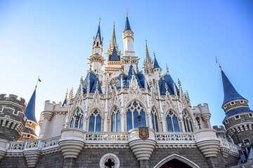 Private Tokyo Disneyland Tour with Car Transportation