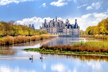Loire Valley Half Day Trip with Castle Entry plus Wine Tasting