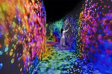 Teamlab Phenomena Abu Dhabi 