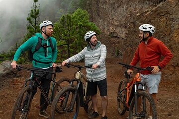 Mountain Bike on Tenerife