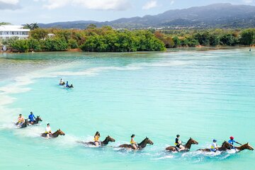 Horseback Ride/Swim and Blue Hole Falls from Montego Bay/Falmouth