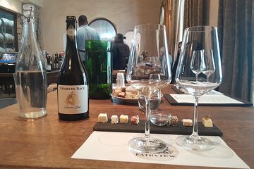 Customized Wine Tasting with optional Giraffe or Cheetah visit.