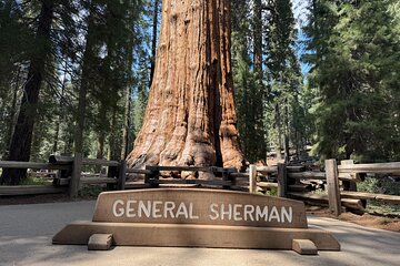 Private Tour to Sequoia and Kings Canyon National Parks