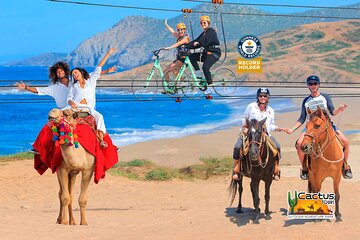 Sky Bike Free Camel Ride and Horseback Riding
