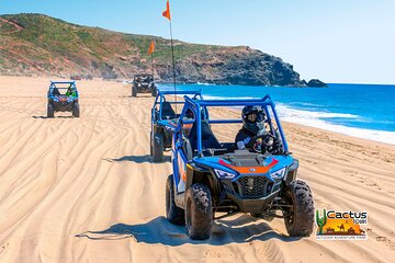 Beach and Desert Mini Razor Tour in Cabo