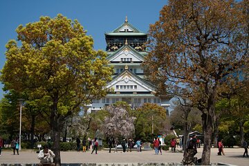 Osaka Customized Half-Day Tour with English-Speaking Guide