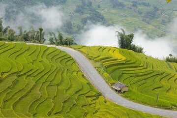 16 Day Car Tour in and around Ho Chi Minh City
