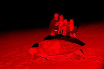 Night Watching of Sea Turtles from Tamarindo