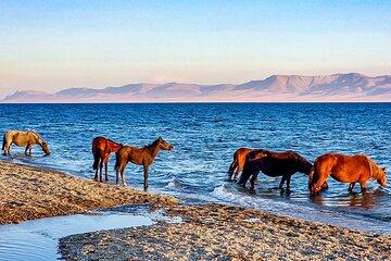 Private 11 Days Trip at Kyrgyzstan