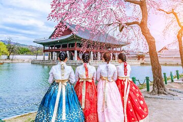 Luxury Seoul Highlight Day Tour with Concert