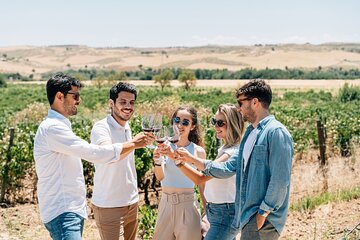 Toledo City Tour, Winery Experience & Wine Tasting from Madrid