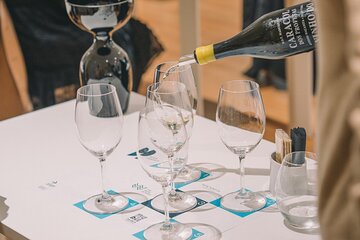 Visit WOW's Portugal Museum and Wine Tasting Tour