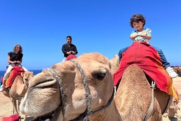 Tangier in a Day: From Medina Mystique to Ocean Views