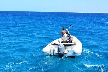 Private Speedboat Trip with Dolphins and Snorkeling Hurghada