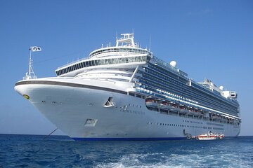Private Transfer from Cruise Port Amsterdam to Amsterdam