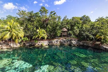 Cenotes Casa Tortuga 4 Cenotes Day Pass