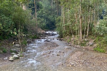 Healing Walk Yoga and Tai Massage in Medellín