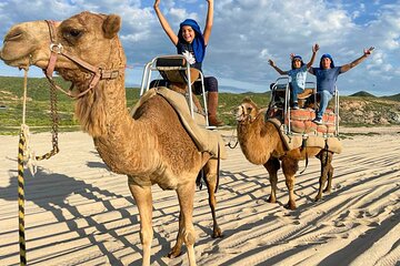 Private ATV and Camel Ride on a White Sand Beach