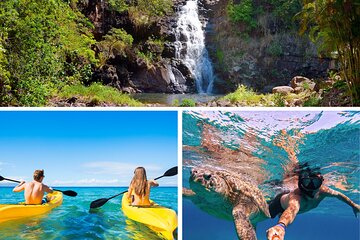 PRIVATE TOUR-Ultimate North Shore Experience