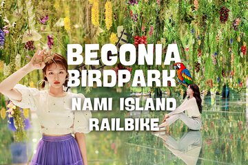 Nami Island and Begonia Bird Park Tour from Seoul (opt Railbike)