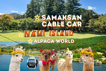 Nami Island, Alpaca World with Samaksan Lake Cable Car Day Tour