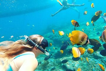 Blue Lagoon Snorkeling Day Tour